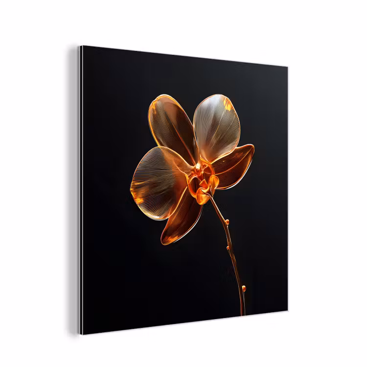 Alu-Dibond-Bild - Orchidee - Transparent - Blume — 1