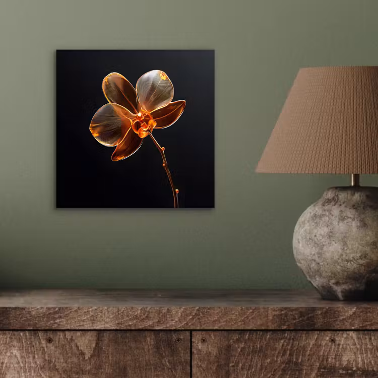 Alu-Dibond-Bild - Orchidee - Transparent - Blume — 3