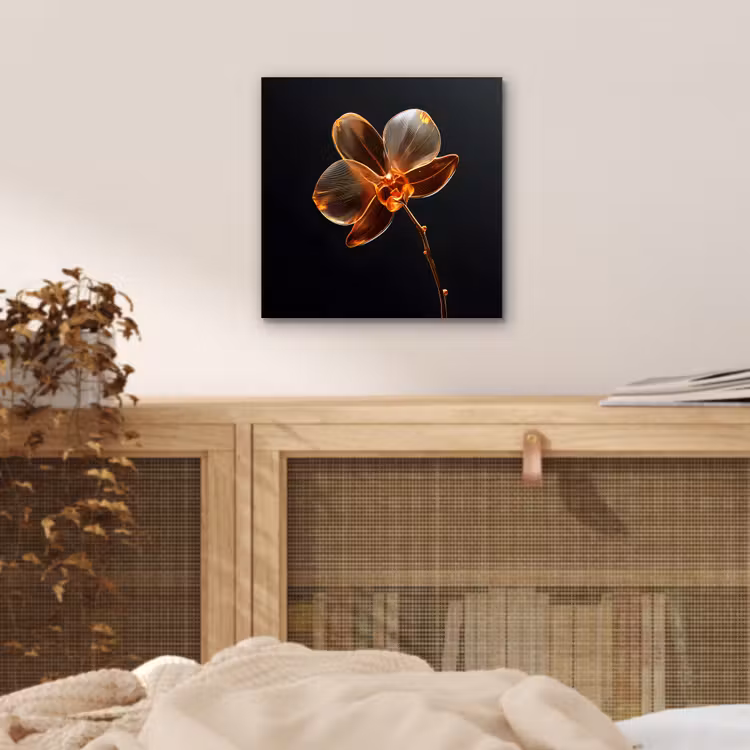 Alu-Dibond-Bild - Orchidee - Transparent - Blume — 4