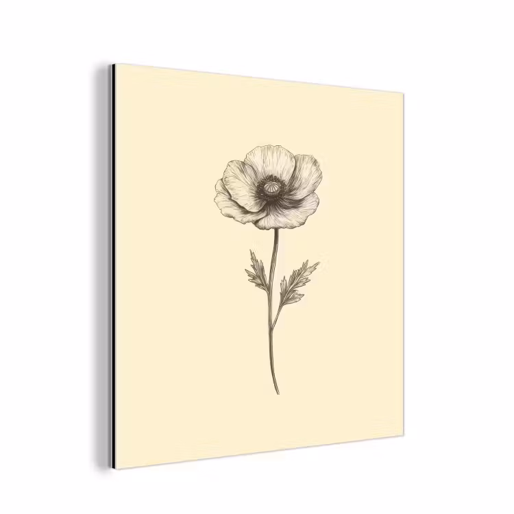 Alu-Dibond-Bild - Mohn - Illustration - Schwarz — 1