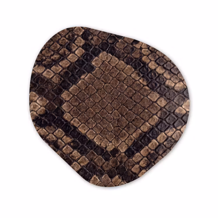Forexbild Organische Form - Python - Schuppen - Bronze — 1