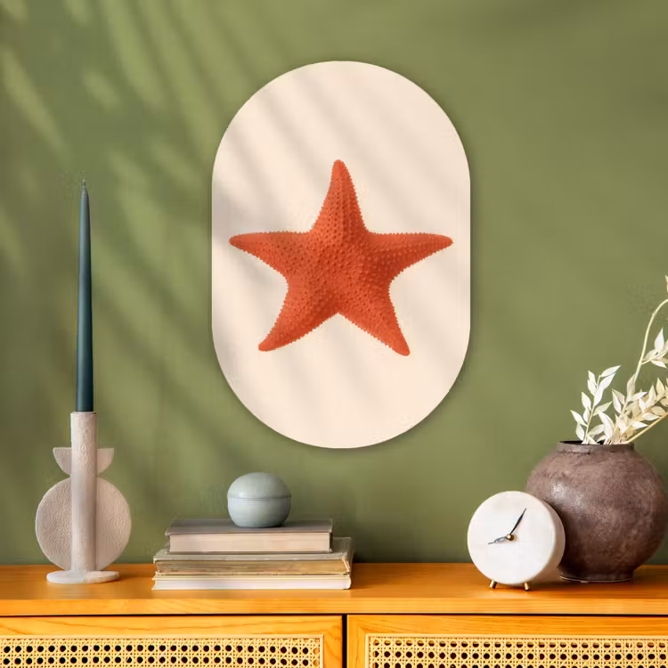 Forexbild Oval - Seestern - Bobbles - Rot — 3