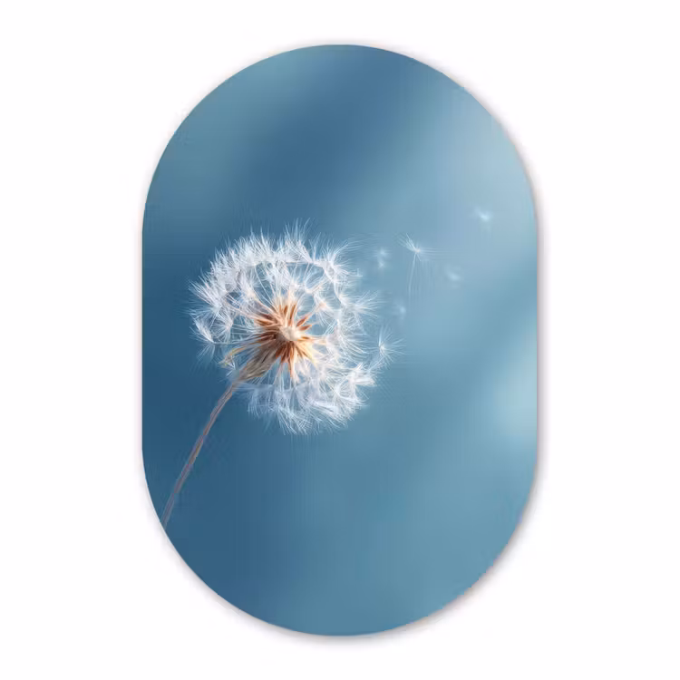 Forexbild Oval - Löwenzahn - Wind - Blau — 1