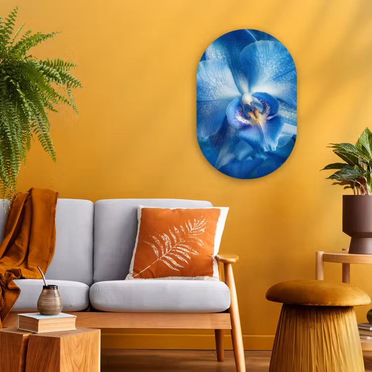 Forexbild Oval - Blau - Orchidee - Elegeant — 2