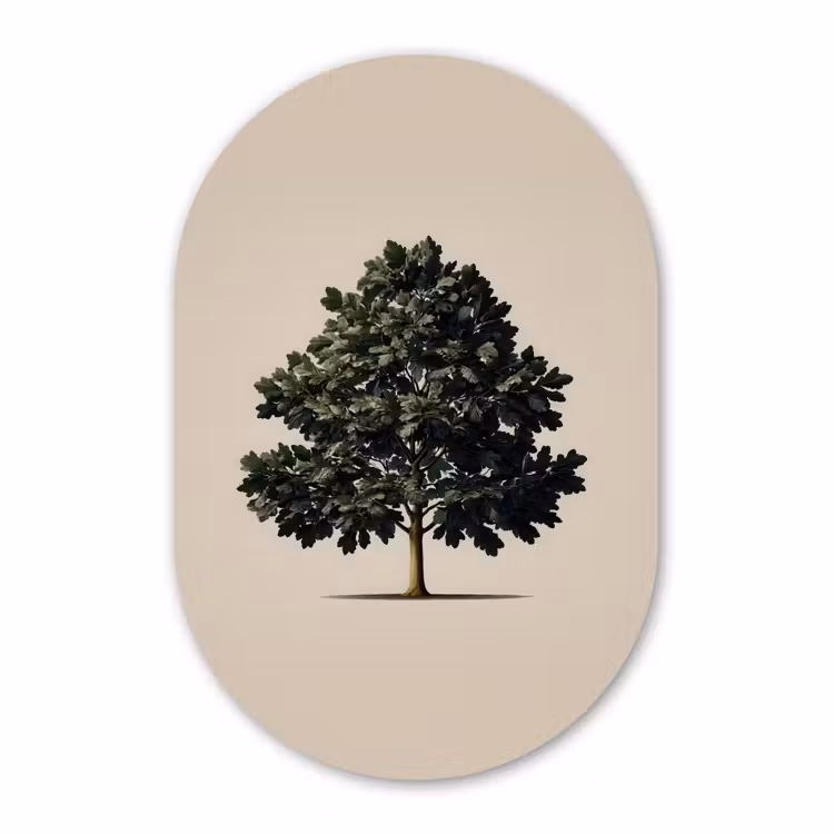 Forexbild Oval - Eichenbaum - Schatten - Glatt — 1