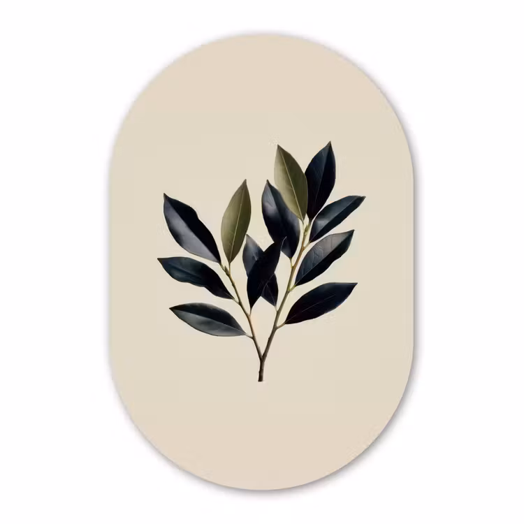 Forexbild Oval - Oval - Olivgrün - Einfach — 1