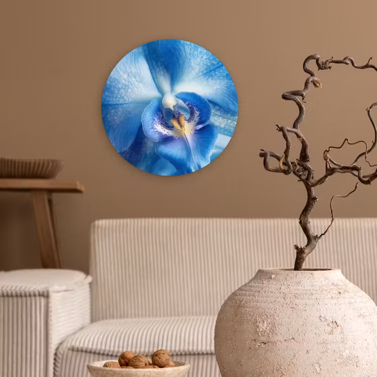 Forexbild Rund - Blau - Orchidee - Elegeant — 2
