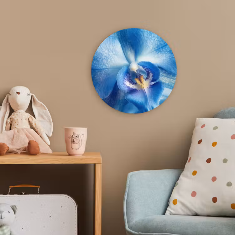 Forexbild Rund - Blau - Orchidee - Elegeant — 5