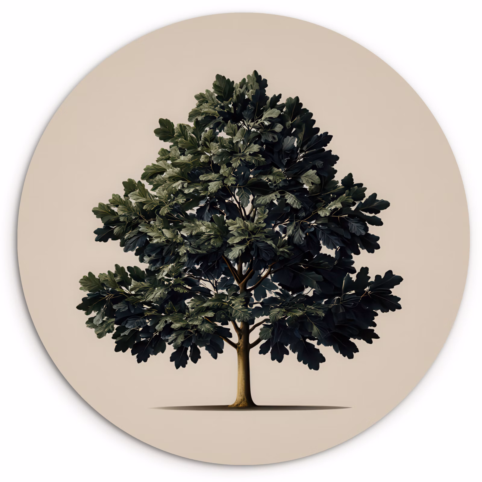 Forexbild Rund - Eichenbaum - Schatten - Glatt — 1