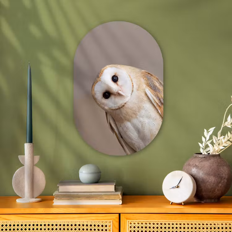 Forexbild Oval - Eule - Braun - Weiß — 3