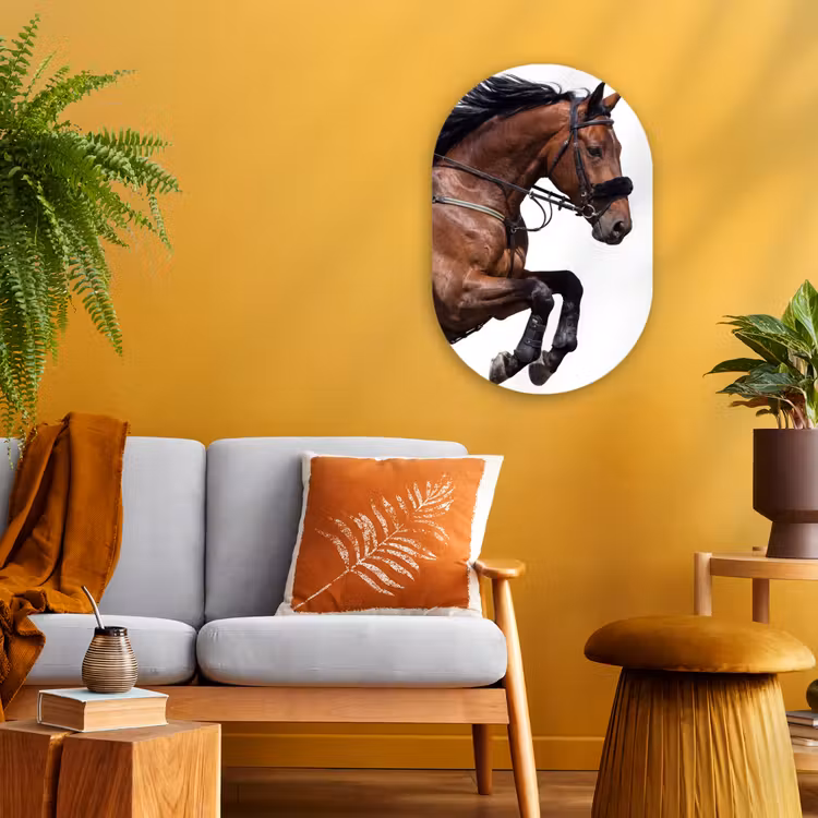 Forexbild Oval - Pferd - Springen - Modern — 2