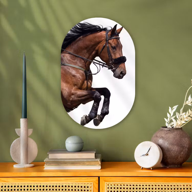 Forexbild Oval - Pferd - Springen - Modern — 3