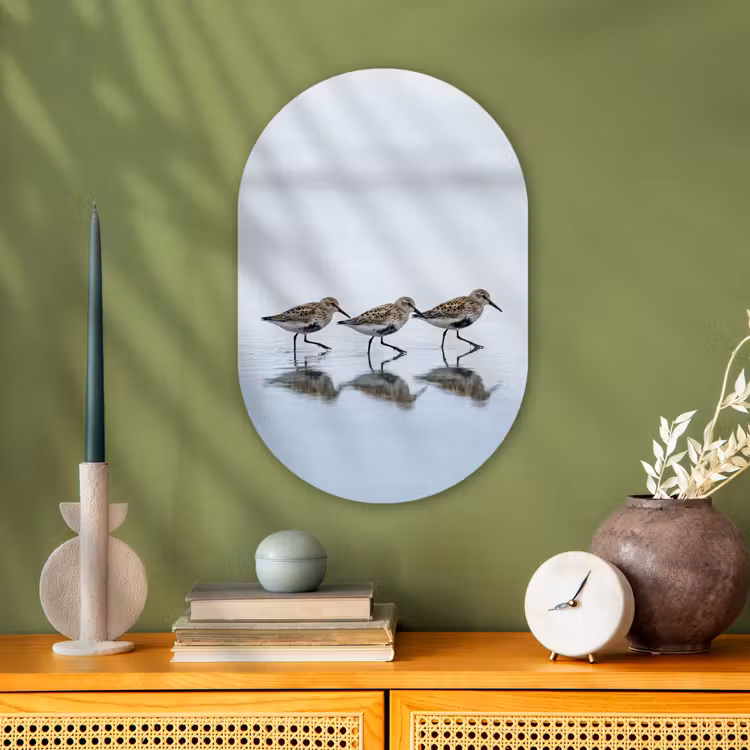 Forexbild Oval - Vögel - Wasser - Grau — 3