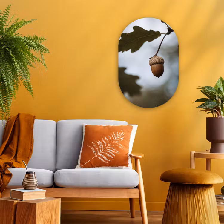 Forexbild Oval - Eichel - Eichenblatt - Wald - Herbst - Natur — 2