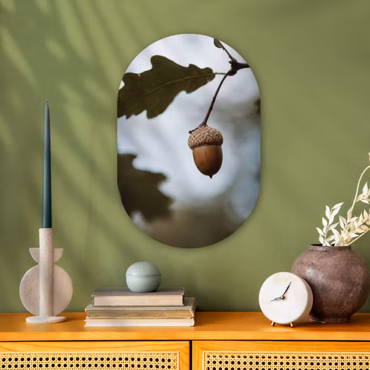 Forexbild Oval - Eichel - Eichenblatt - Wald - Herbst - Natur — 3