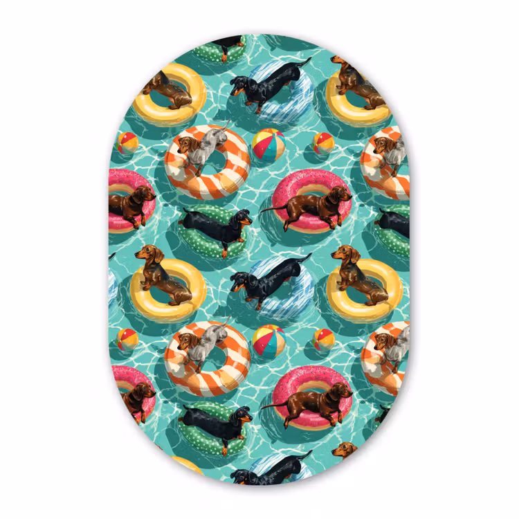 Forexbild Oval - Dackel - Pool - Farbenfroh — 1
