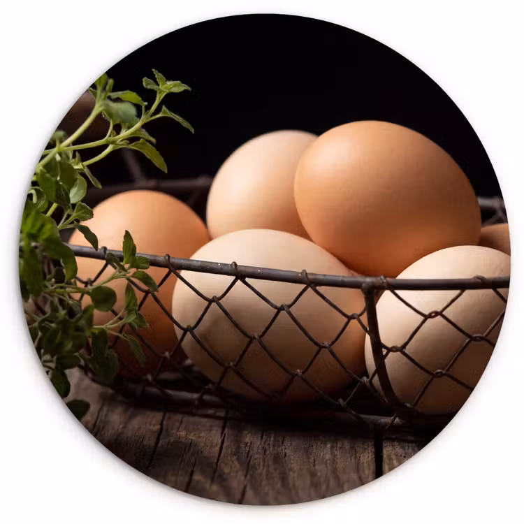 Forexbild Rund - Eier – Korb – Essen — 1