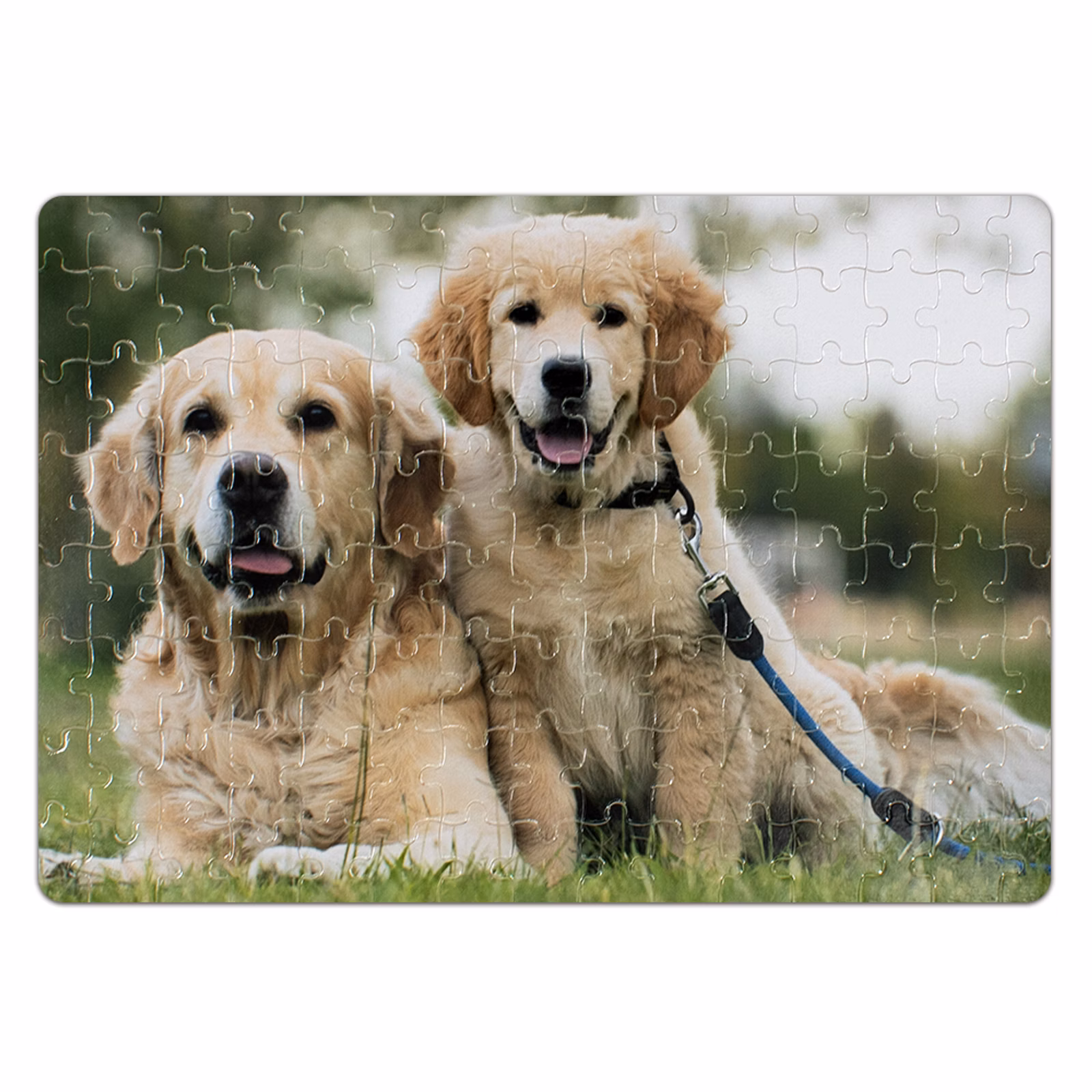Fotopuzzle — 1
