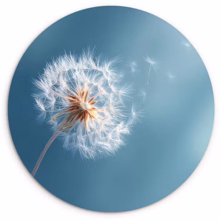 Forexbild Rund - Löwenzahn - Wind - Blau — 1