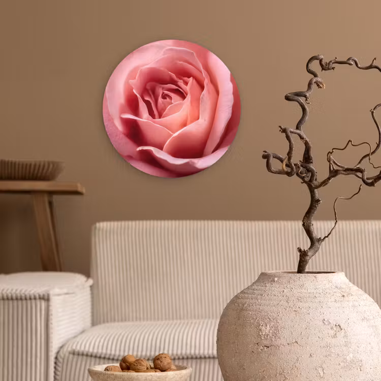 Forexbild Rund - Rosa - Rose - Romantisch — 2