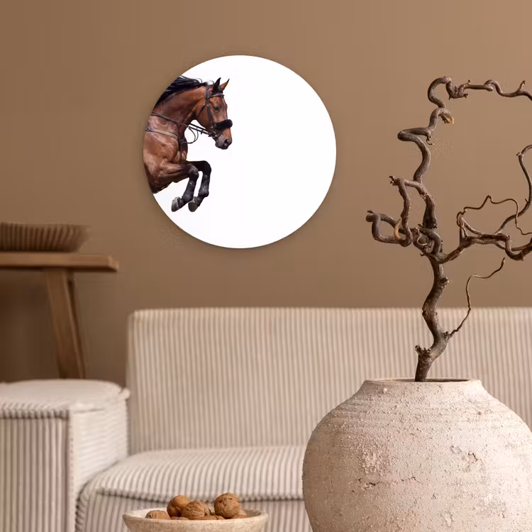 Forexbild Rund - Pferd - Springen - Modern — 2