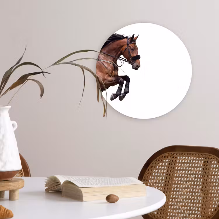 Forexbild Rund - Pferd - Springen - Modern — 4