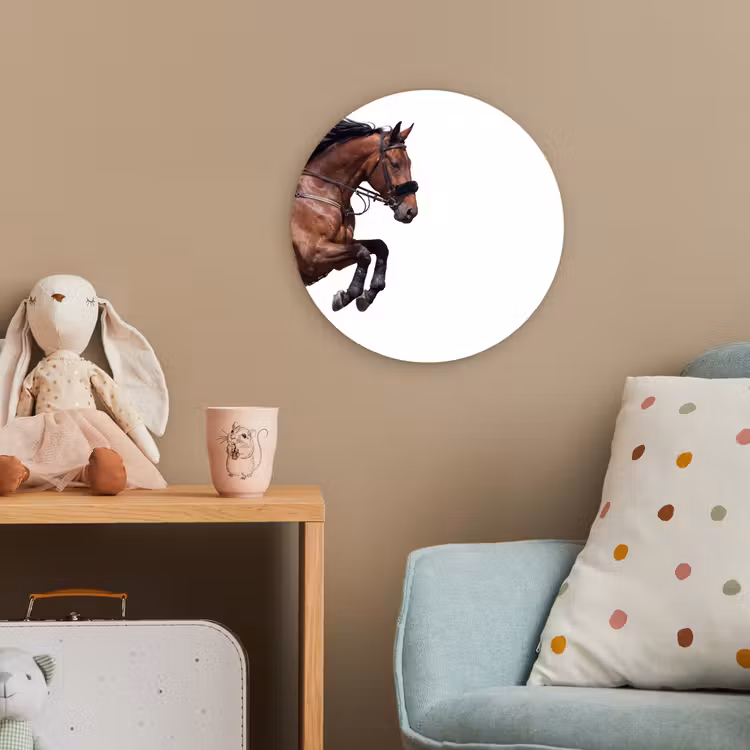 Forexbild Rund - Pferd - Springen - Modern — 5