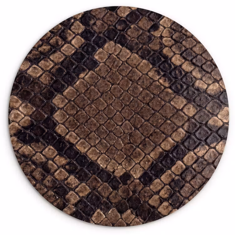 Forexbild Rund - Python - Schuppen - Bronze — 1