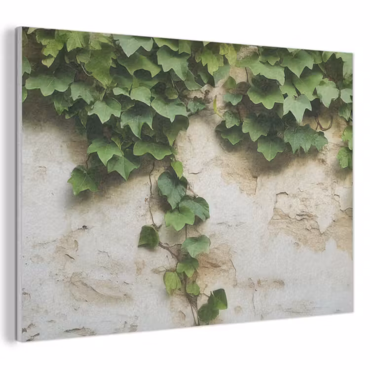 Akustikbild - Efeu - Wand - Grün — 1