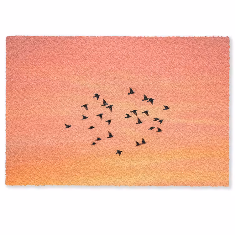 Fußmatte - Schwarm - Vögel - Orange — 1