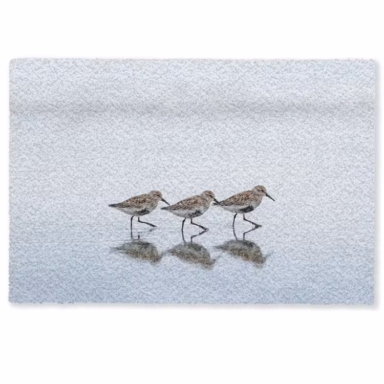 Fußmatte - Vögel - Wasser - Grau — 1