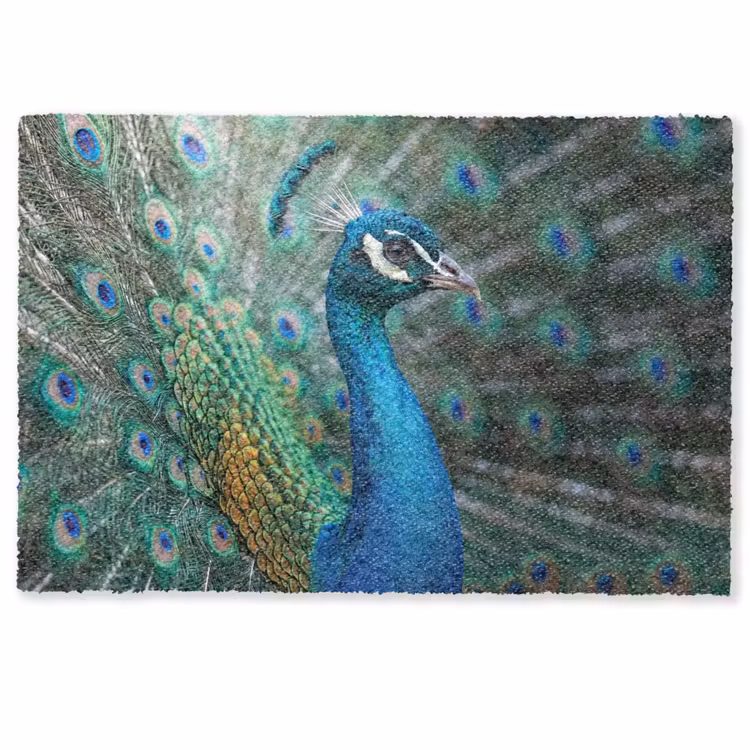 Fußmatte - Pfau - Federn - Blau — 1