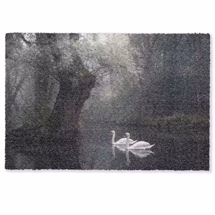 Fußmatte - Schwäne - Fluss - Wald — 1