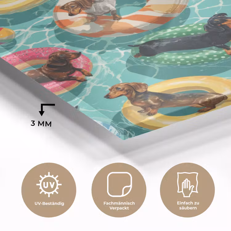 Glasbild - Dackel - Pool - Farbenfroh — 4