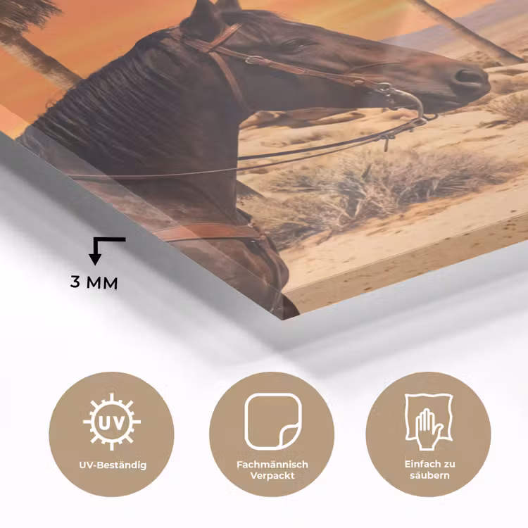 Glasbild - Cowboy – Pferd – Wüste — 4