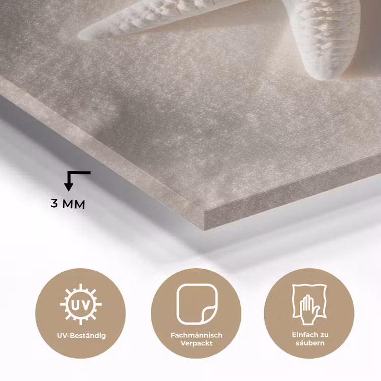Glasbild - Strand - Seestern - Sand - Beige — 4