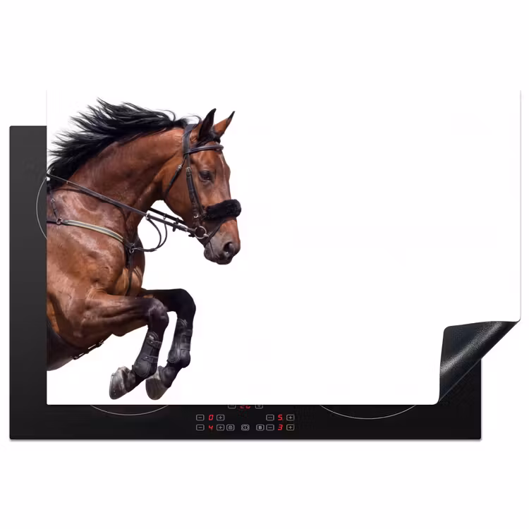 Herdabdeckplatte - Pferd - Springen - Modern — 1
