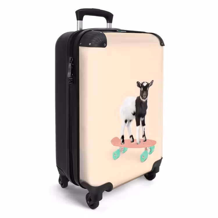 Koffer - Bock an Bord — 4