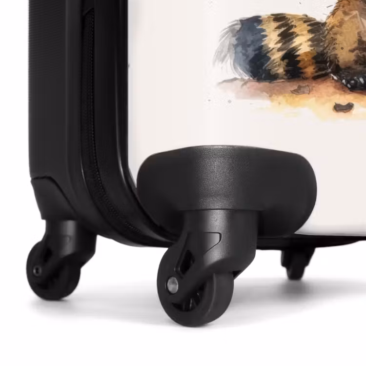 Koffer - Waldo Waschbär — 6
