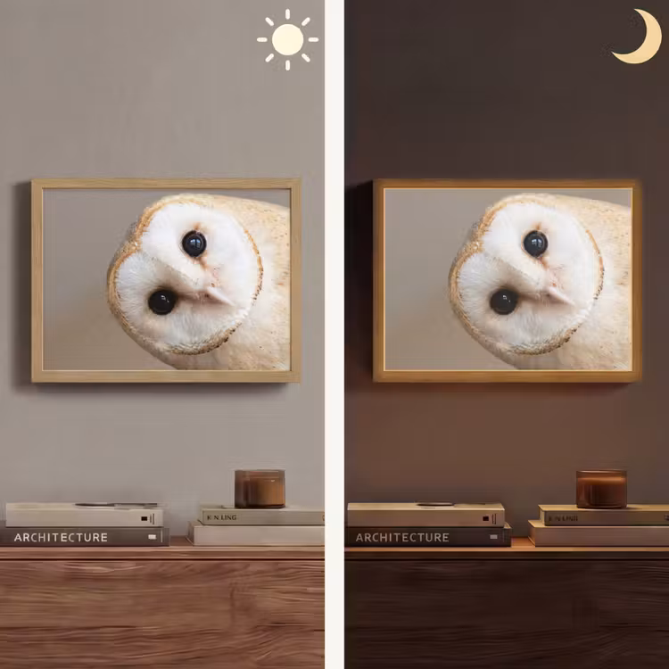 Lightbox - Wandleuchte - Eule - Braun - Weiß — 5