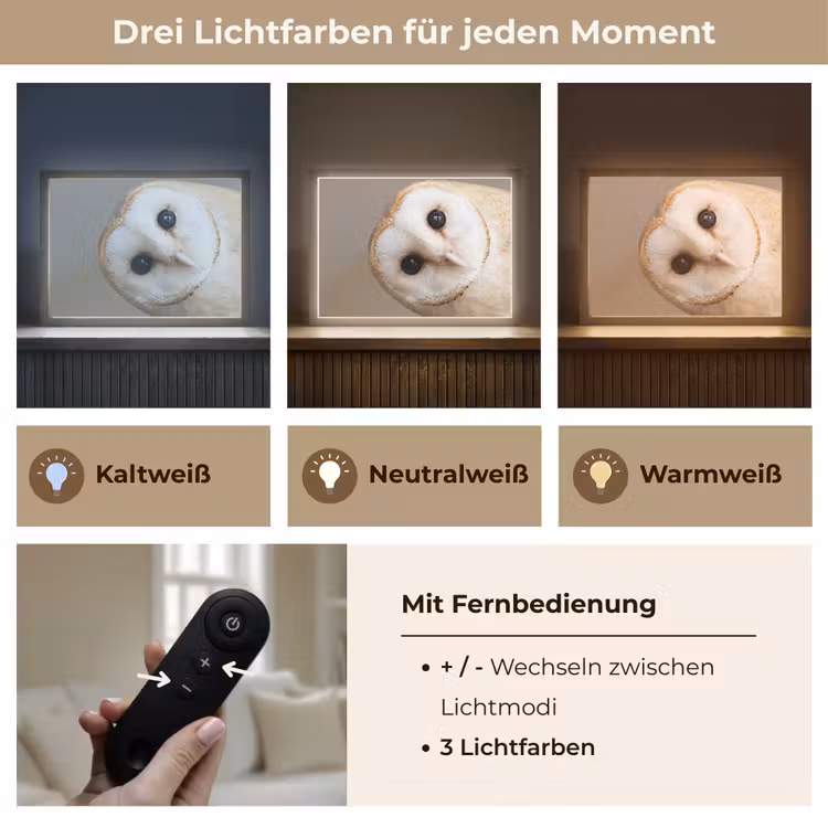 Lightbox - Wandleuchte - Eule - Braun - Weiß — 7