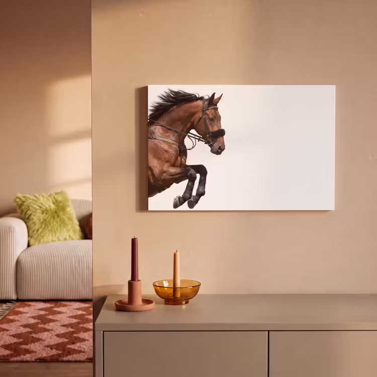 Leinwandbild - Pferd - Springen - Modern — 1