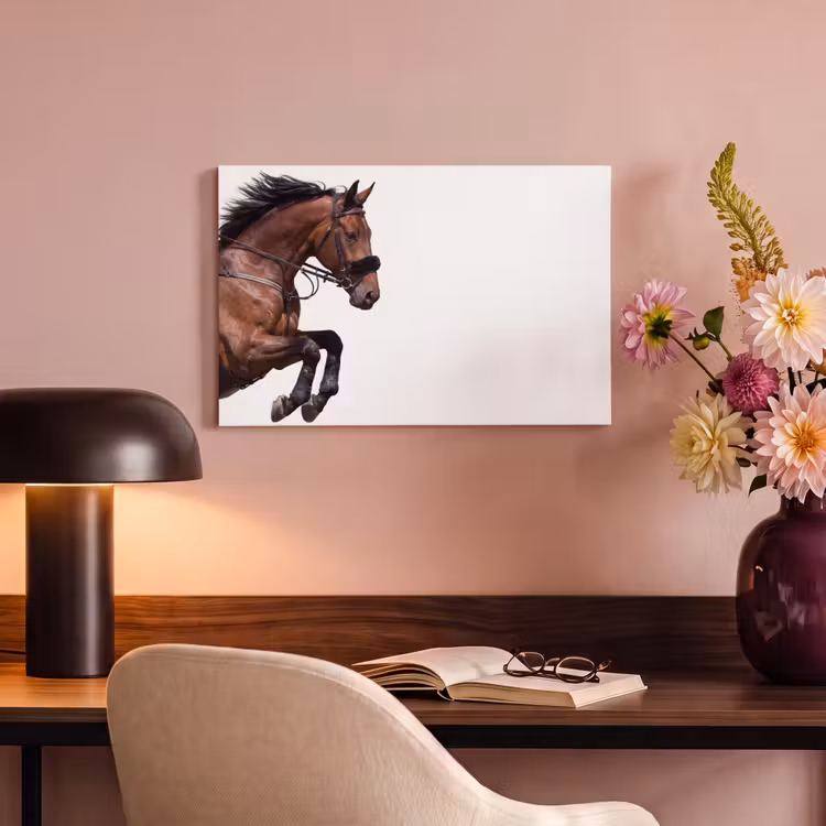 Leinwandbild - Pferd - Springen - Modern — 3
