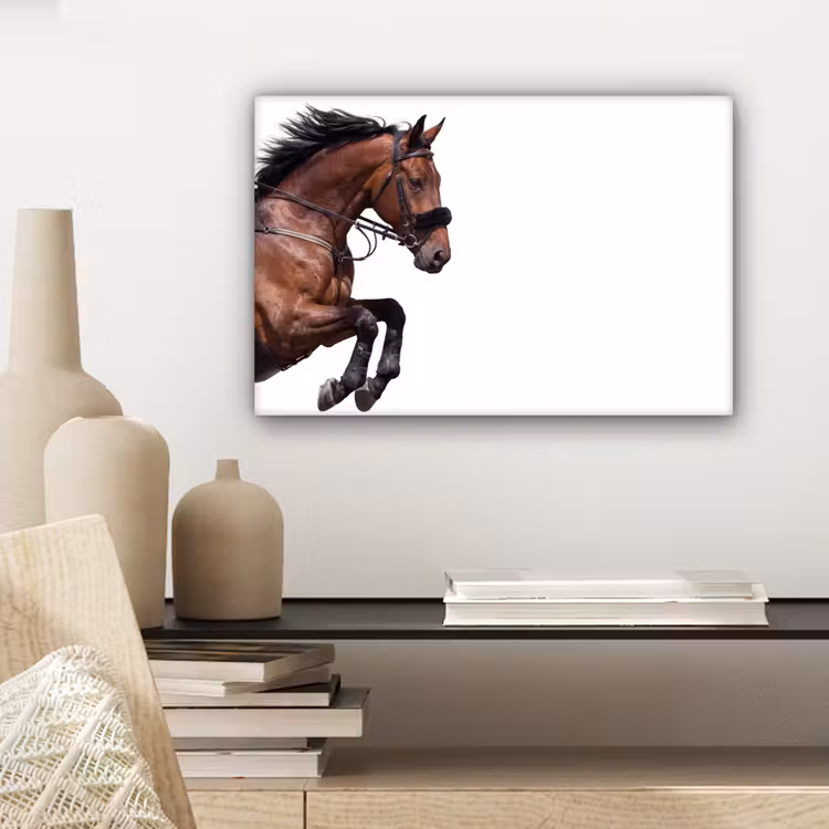 Leinwandbild - Pferd - Springen - Modern — 4