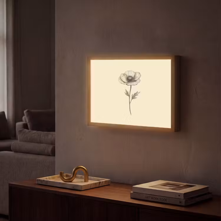 Lightbox - Wandleuchte - Mohn - Illustration - Schwarz — 2