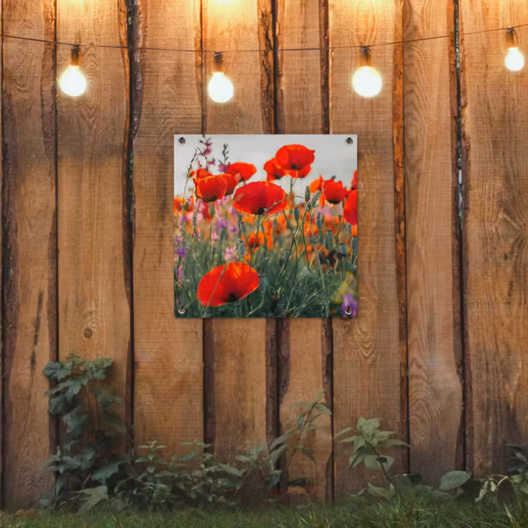 Outdoor Poster - Mohnblumen — 2