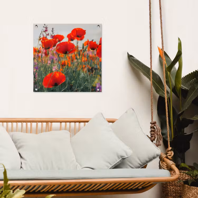 Outdoor Poster - Mohnblumen — 4