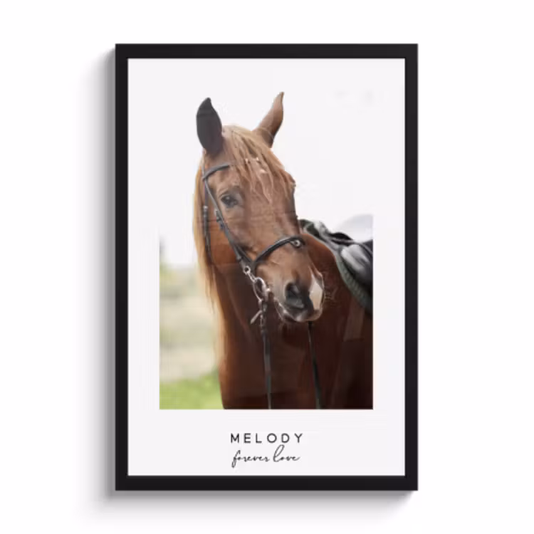 Personalisierte poster Pferd — 1