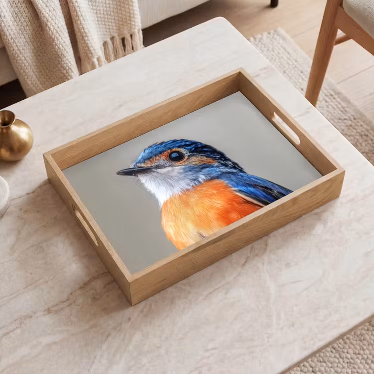 Tablett - Bunt - Vogel - Federn - Blau — 2