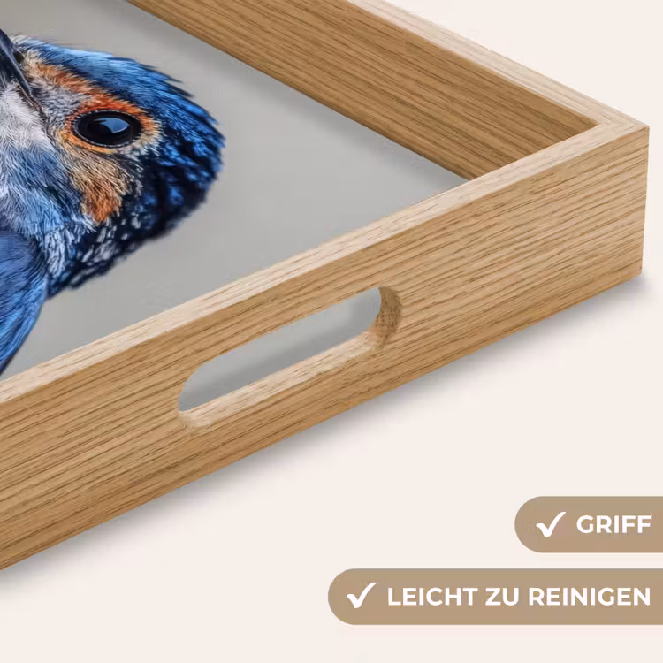 Tablett - Bunt - Vogel - Federn - Blau — 8